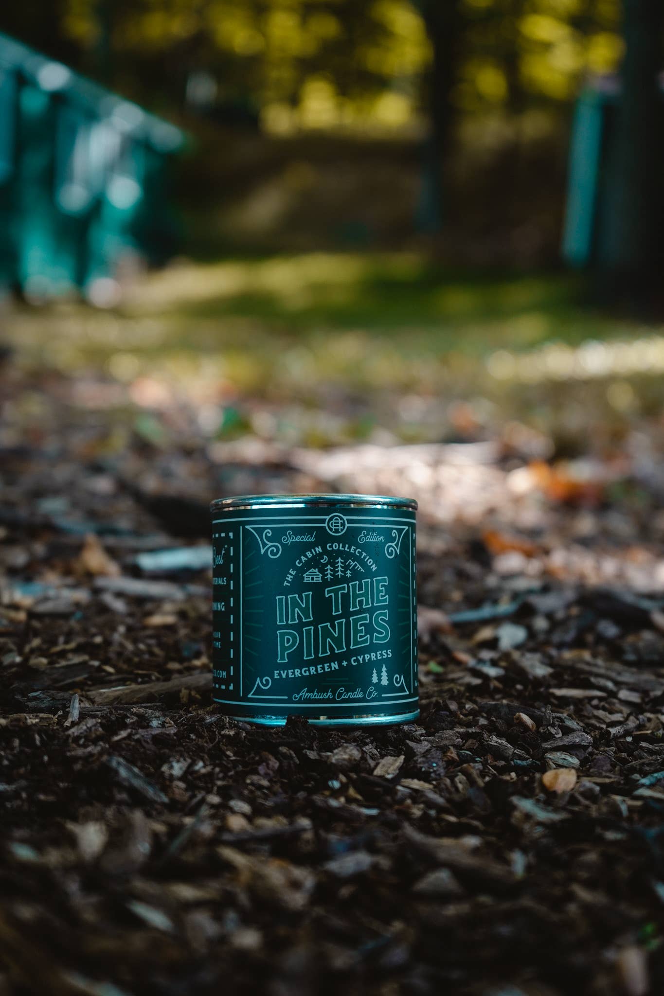 In The Pines | Evergreen + Cypress 8oz Soy Candle - Sweet Pea Designs - Gift Shop