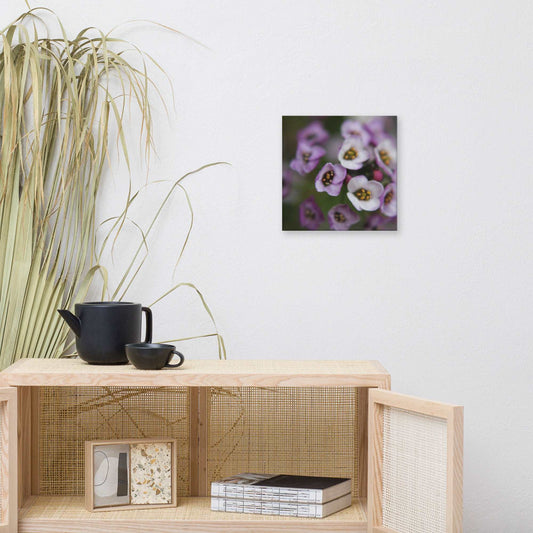 Alyssum Canvas Print - Sweet Pea Designs - Gift Shop