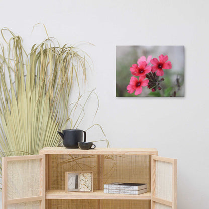 Catchfly Canvas Print - Sweet Pea Designs - Gift Shop