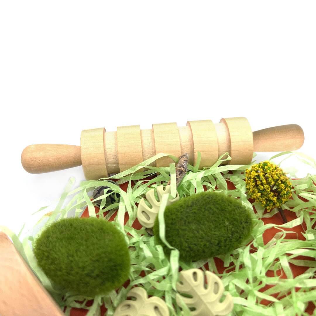 Dinosaur Quest, Playdough Kit with Paintable Dinosaurs - Sweet Pea Designs - Gift Shop