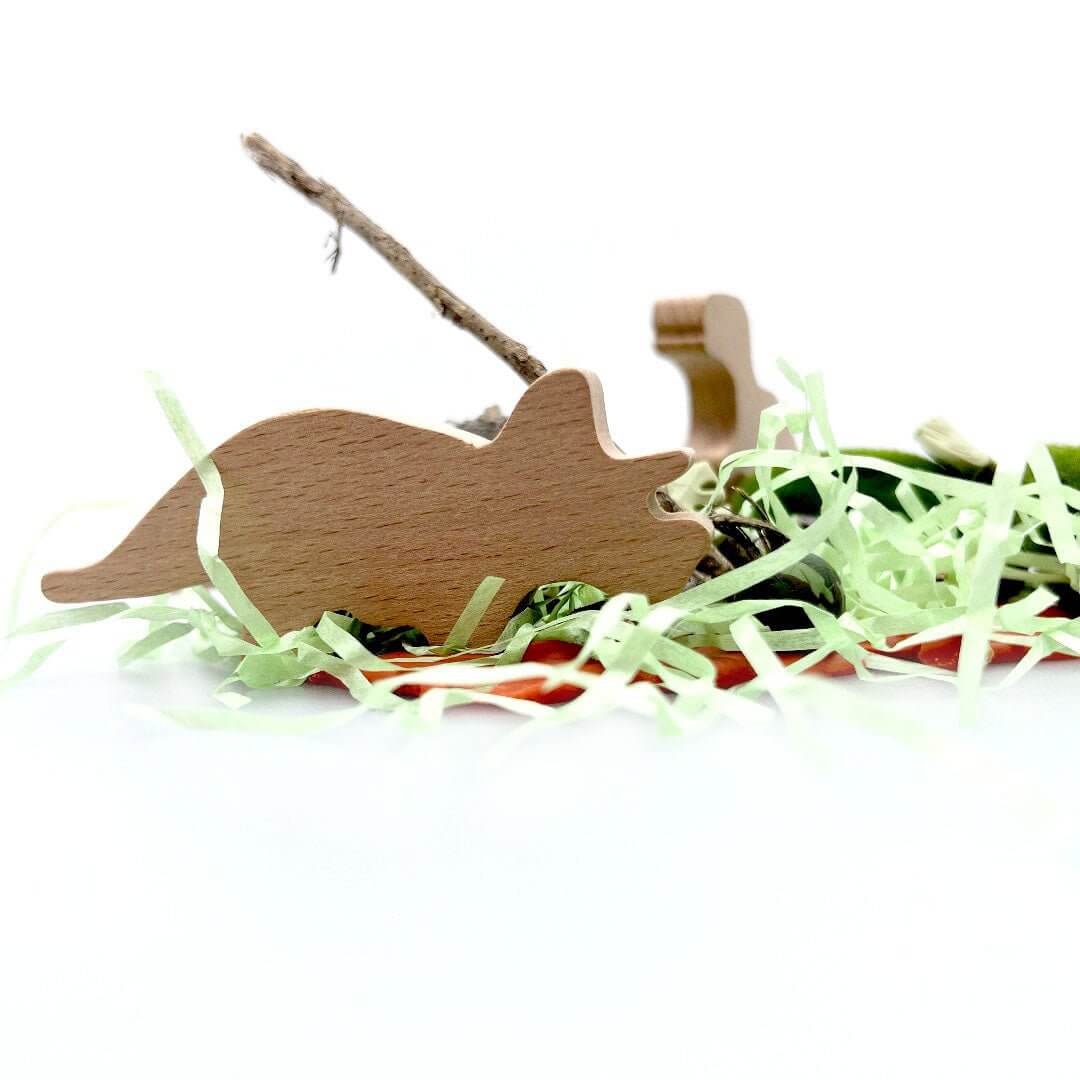 Dinosaur Quest, Playdough Kit with Paintable Dinosaurs - Sweet Pea Designs - Gift Shop