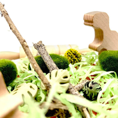 Dinosaur Quest, Playdough Kit with Paintable Dinosaurs - Sweet Pea Designs - Gift Shop