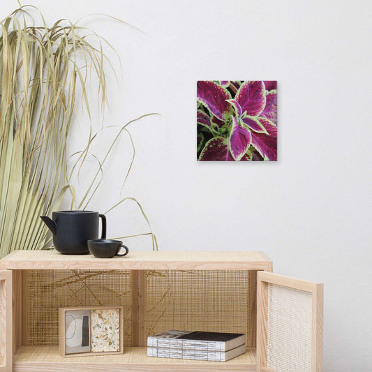 Flower Canvas Print - Sweet Pea Designs - Gift Shop