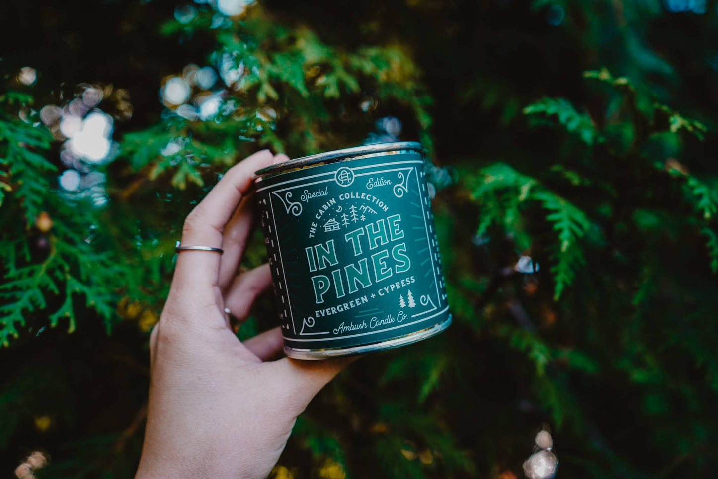 In The Pines | Evergreen + Cypress 8oz Soy Candle - Sweet Pea Designs - Gift Shop