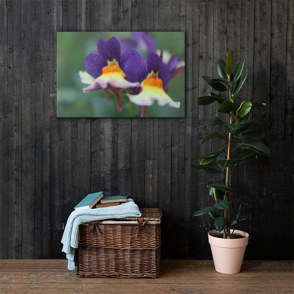 Violet Flower Canvas - Sweet Pea Designs - Gift Shop